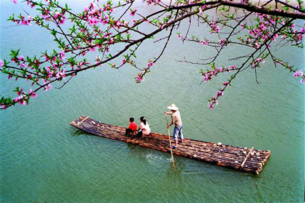 桃源春色 桃源春色
