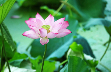 西溪旅游文化景区 西溪旅游文化景区