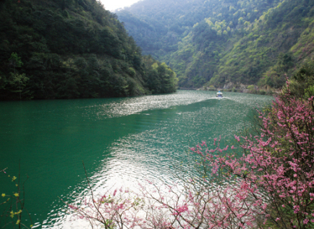 浦江交通示意图 浦江交通示意图