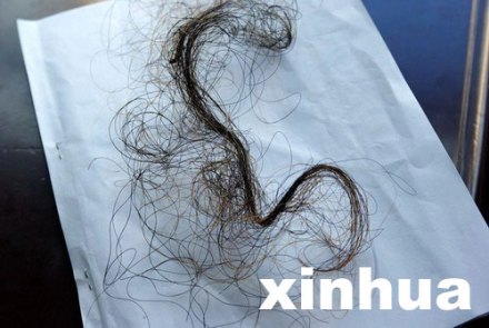 丁飞报送村里的毛发 丁飞报送村里的毛发