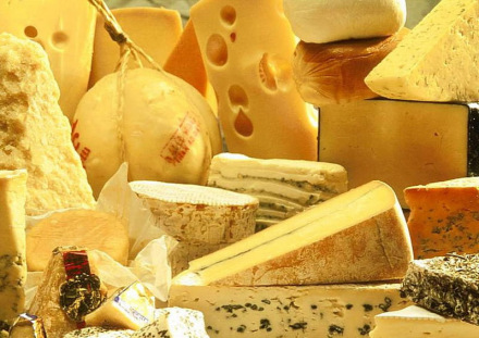 奶酪 奶酪