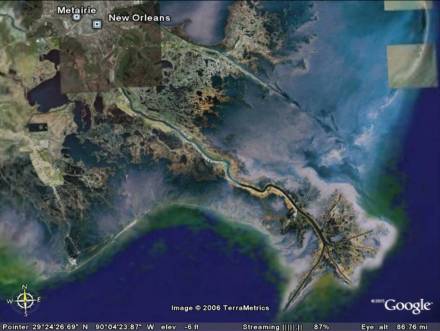 密西西比河三角洲 密西西比河三角洲