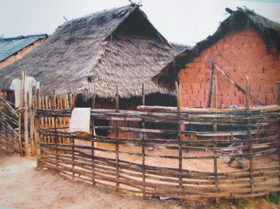 原始茅屋 原始茅屋