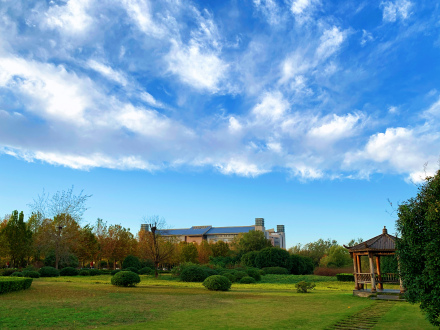 郑州大学河园路小径 郑州大学河园路小径