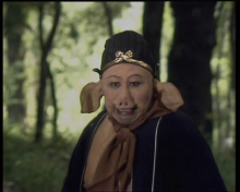 猪八戒荧幕形象 猪八戒荧幕形象