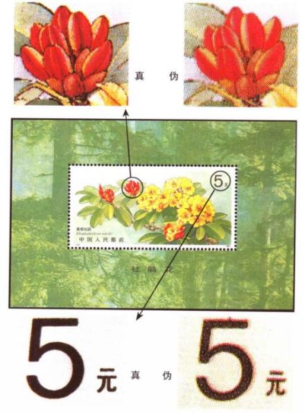 真伪鉴别 真伪鉴别