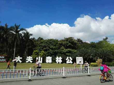 大夫山森林公园 大夫山森林公园