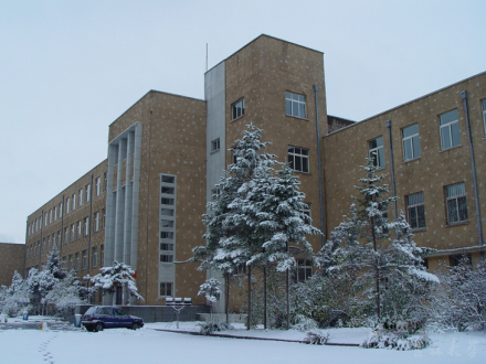 朝阳校区鸽子楼 朝阳校区鸽子楼