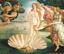 维纳斯雕像及图画 维纳斯雕像及图画