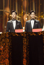 第28届中国电视金鹰奖