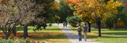 麦吉尔大学内景 麦吉尔大学内景