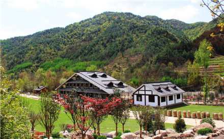 康县花桥村 康县花桥村