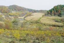 余富遗址 余富遗址