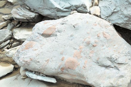 九龙池冰碛岩
九龙池冰碛岩