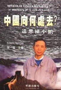 杨小凯的著作 杨小凯的著作