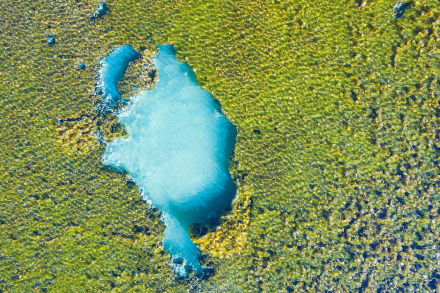 诺日朗群海 诺日朗群海