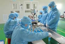 公司资料 公司资料