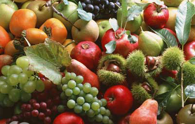 热带水果 热带水果