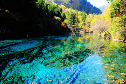 孔雀河道 孔雀河道