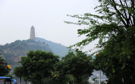 密汁南瓜 密汁南瓜