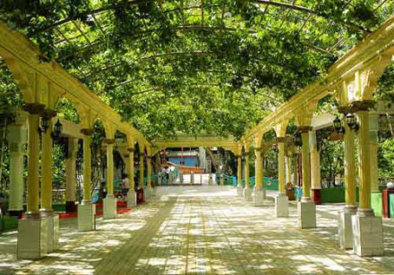 吐鲁番的葡萄 吐鲁番的葡萄