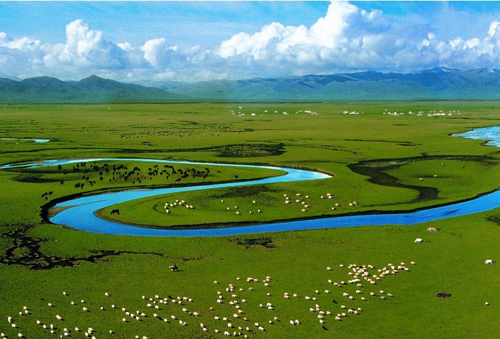 甘南高原——甘南草原