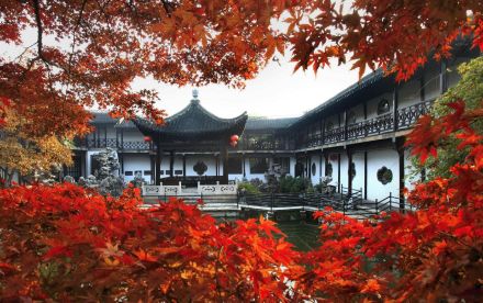 何园枫叶 何园枫叶