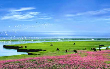 鄱阳湖国家湿地公园 鄱阳湖国家湿地公园