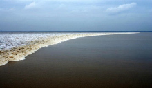 观潮有感 观潮有感