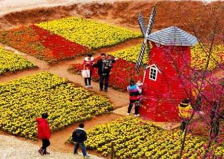 两岸花博生态园 两岸花博生态园