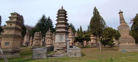 少林寺塔林 少林寺塔林