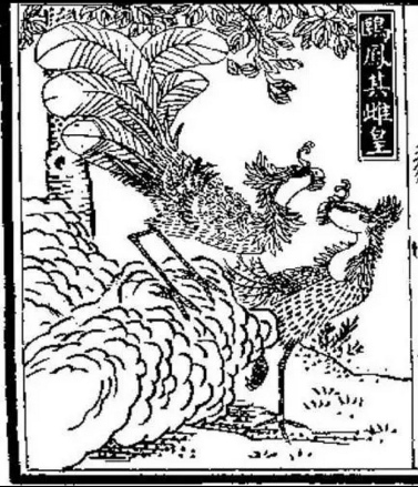 清·汪绂凤凰图本