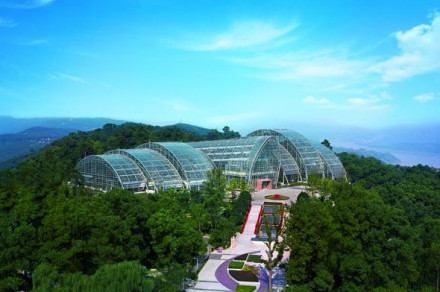 南山植物园 南山植物园