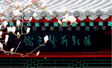 藤影荷声之馆 藤影荷声之馆