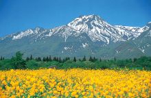 风景名胜 风景名胜