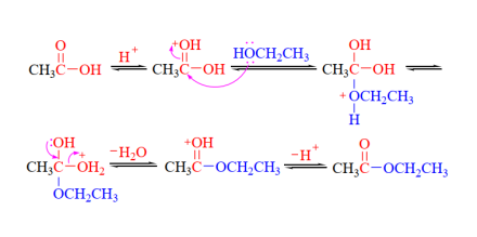 酯化反应的加成-消除机理 酯化反应的加成-消除机理