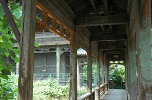 校园环境 校园环境