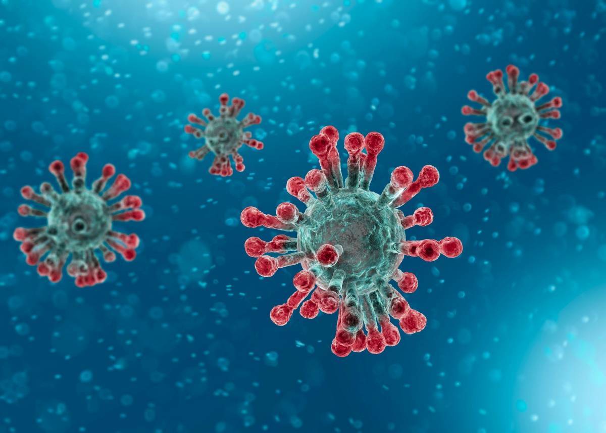 冠状病毒渲染图（来源：Alamy）