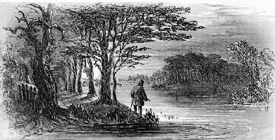 鲁滨孙飘流记 鲁滨孙飘流记