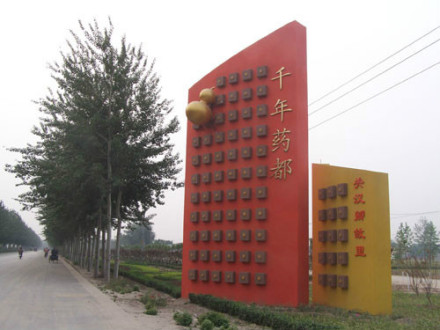 安国西城门 安国西城门