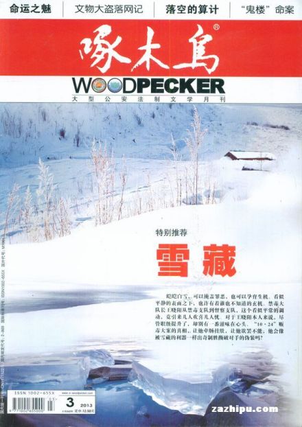 杂志封面 杂志封面