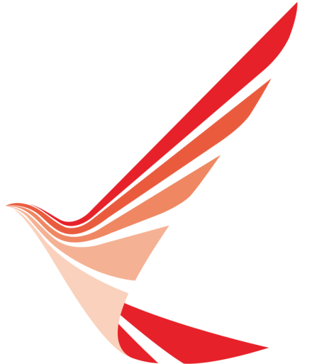 苏南瑞丽航空 苏南瑞丽航空