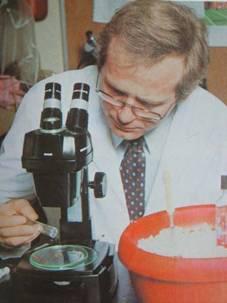 科学研究 科学研究