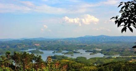 孔江湿地 孔江湿地