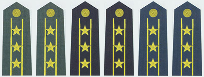 陆海空军上校常服肩章(2007-)