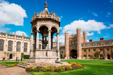 剑桥大学三一学院花园 剑桥大学三一学院花园