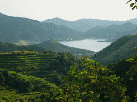 余川镇林业站 余川镇林业站