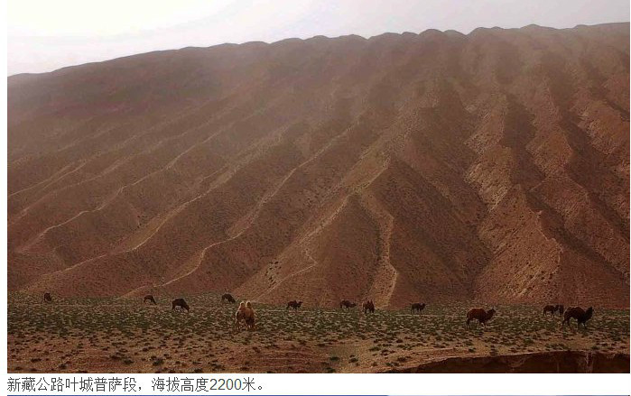 新疆公路叶城普萨段 新疆公路叶城普萨段