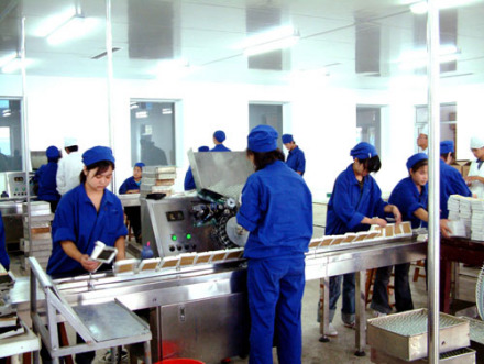 加工厂 加工厂