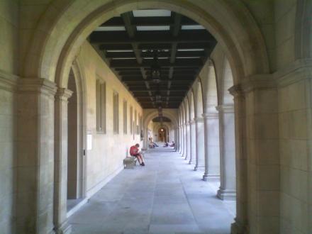 圣路易斯华盛顿大学校园 圣路易斯华盛顿大学校园